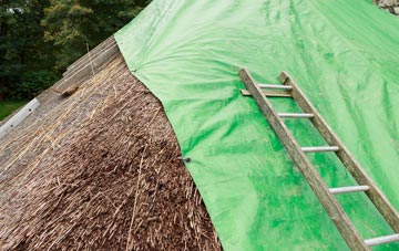 maintaining Holdbrook thatch