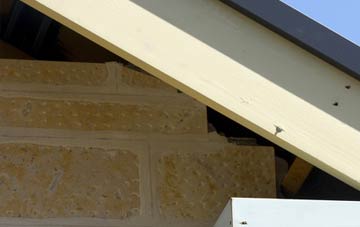soffit repair Holdbrook