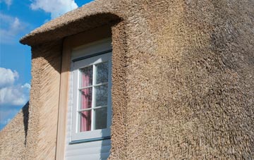 Holdbrook thatch roof disadvantages