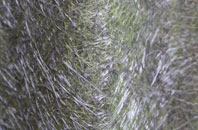 Holdbrook fibreglass roof work